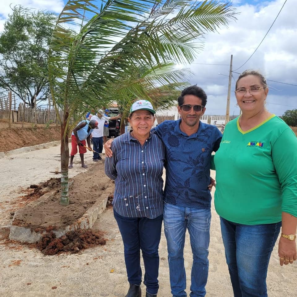 Prefeitura de Araçagi realiza plantio de palmeiras em trecho pavimentado de estrada que liga ao distrito de Canafístula